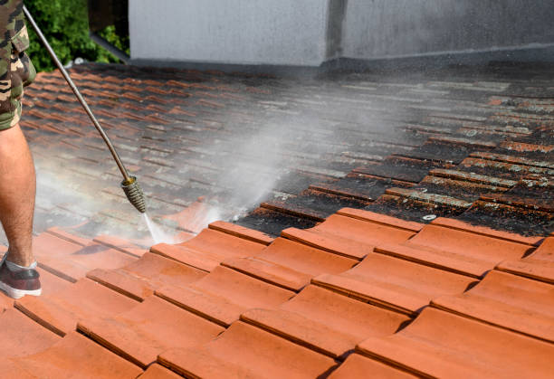 Best Pressure Washing Brick  in Walterboro, SC