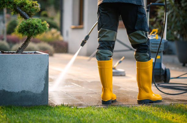 Best Roof Power Washing Services  in Walterboro, SC